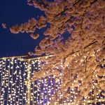【花見】関西まだある穴場！奈良中南部の桜まつり、桜と合わせてイベントも開催！屋台やフードフェスも