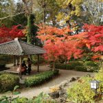 吉城園 奈良 今なら無料 紅葉の楽しめる庭園 穴場の紅葉 高級ホテル予定地