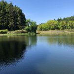 龍王ヶ淵 奈良 絶景スポット 鏡の池 おとひめ様の伝説があるパワースポット
